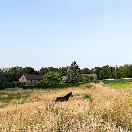 Tiny House Avec Privé Et Vue Panoramique